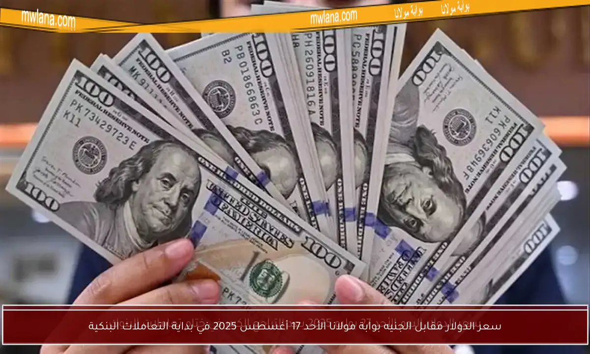سعر الدولار مقابل الجنيه بوابة مولانا الأحد 17 أغسطس 2025 في بداية التعاملات البنكية