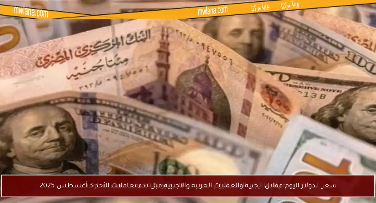 سعر الدولار اليوم مقابل الجنيه والعملات العربية والأجنبية قبل بدء تعاملات الأحد 3 أغسطس 2025