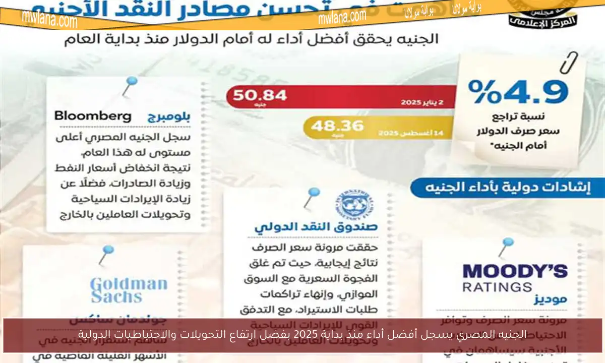 الجنيه المصري يسجل أفضل أداء منذ بداية 2025 بفضل ارتفاع التحويلات والاحتياطيات الدولية