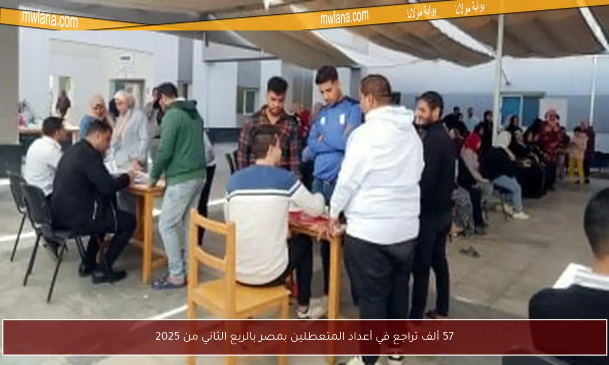 57 ألف تراجع في أعداد المتعطلين بمصر بالربع الثاني من 2025