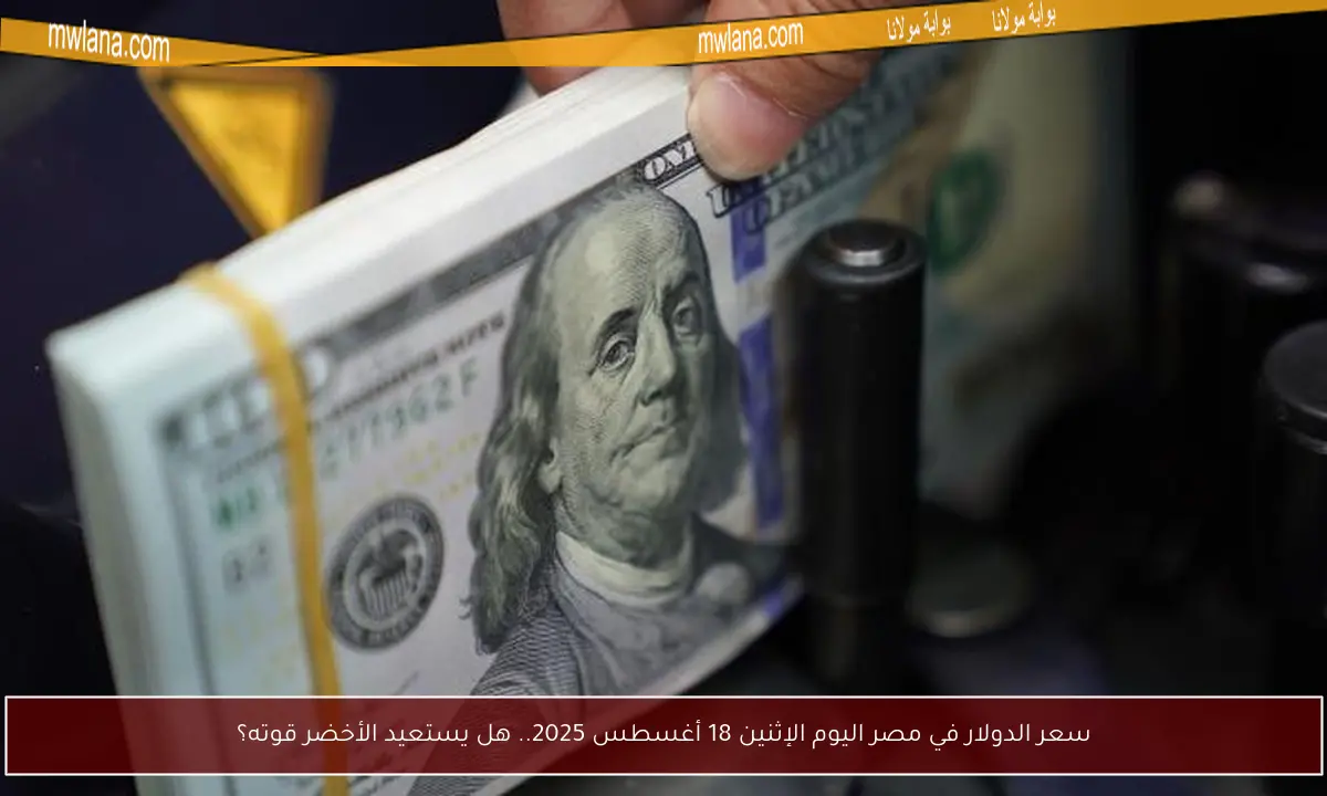 سعر الدولار في مصر اليوم الإثنين 18 أغسطس 2025.. هل يستعيد الأخضر قوته؟