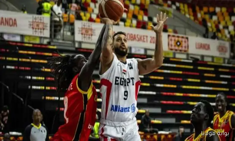 مواجهة حاسمة اليوم.. منتخب مصر يلتقي الكاميرون في ربع نهائي الأفروباسكت