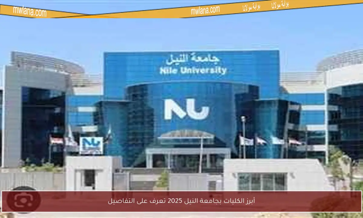 أبرز الكليات بجامعة النيل 2025 تعرف على التفاصيل