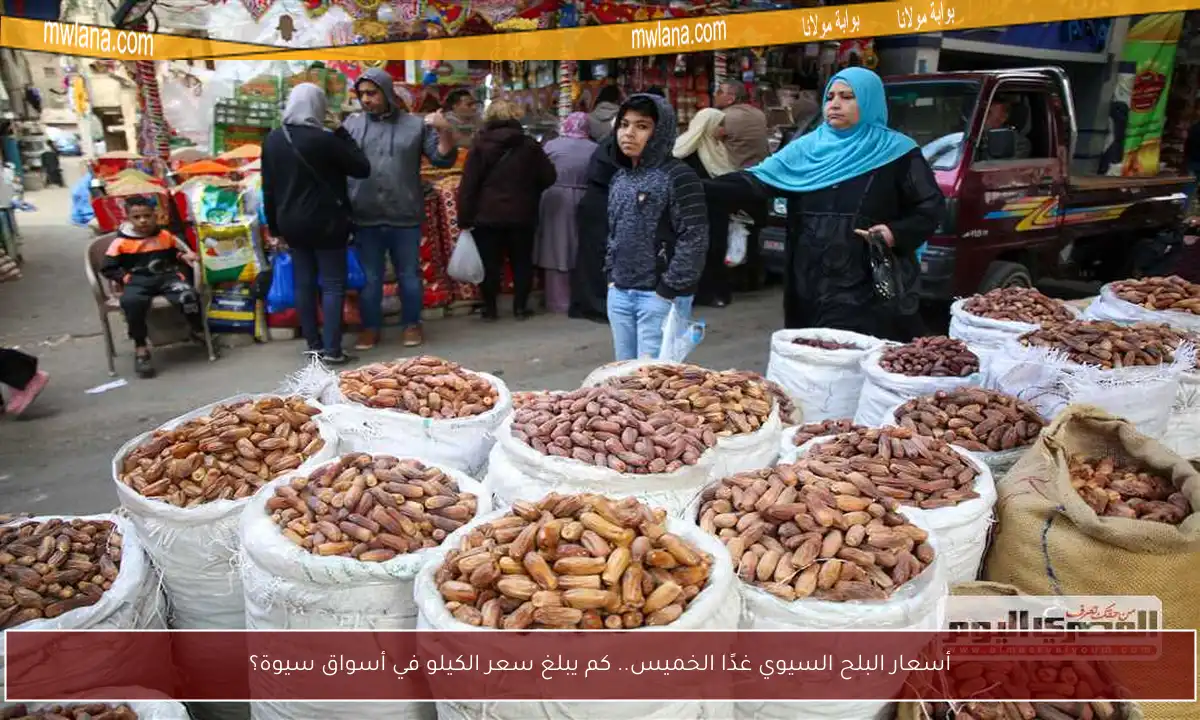أسعار البلح السيوي غدًا الخميس.. كم يبلغ سعر الكيلو في أسواق سيوة؟