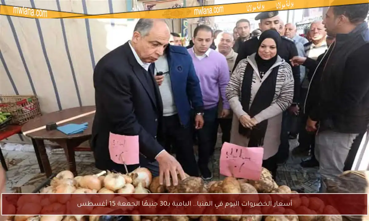أسعار الخضروات اليوم في المنيا.. البامية بـ30 جنيهًا الجمعة 15 أغسطس