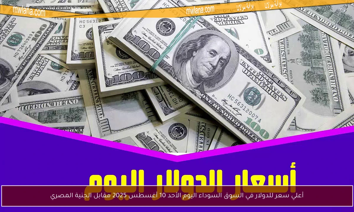 أعلي سعر للدولار في السوق السوداء اليوم الأحد 10 أغسطس 2025 مقابل الجنية المصري