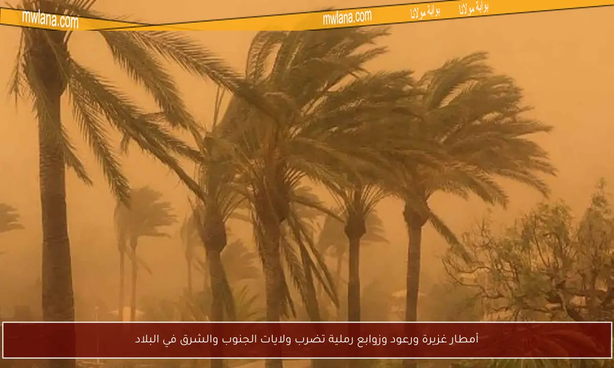 أمطار غزيرة ورعود وزوابع رملية تضرب ولايات الجنوب والشرق في البلاد