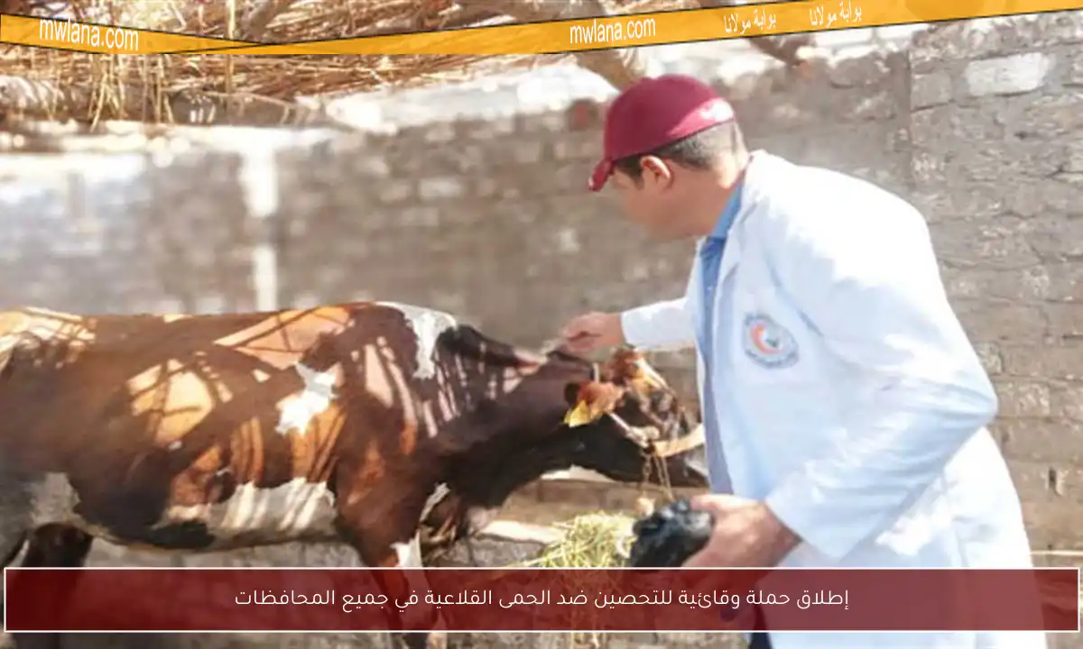 إطلاق حملة وقائية للتحصين ضد الحمى القلاعية في جميع المحافظات