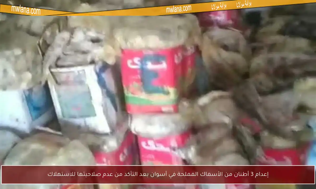 إعدام 3 أطنان من الأسماك المملحة في أسوان بعد التأكد من عدم صلاحيتها للاستهلاك
