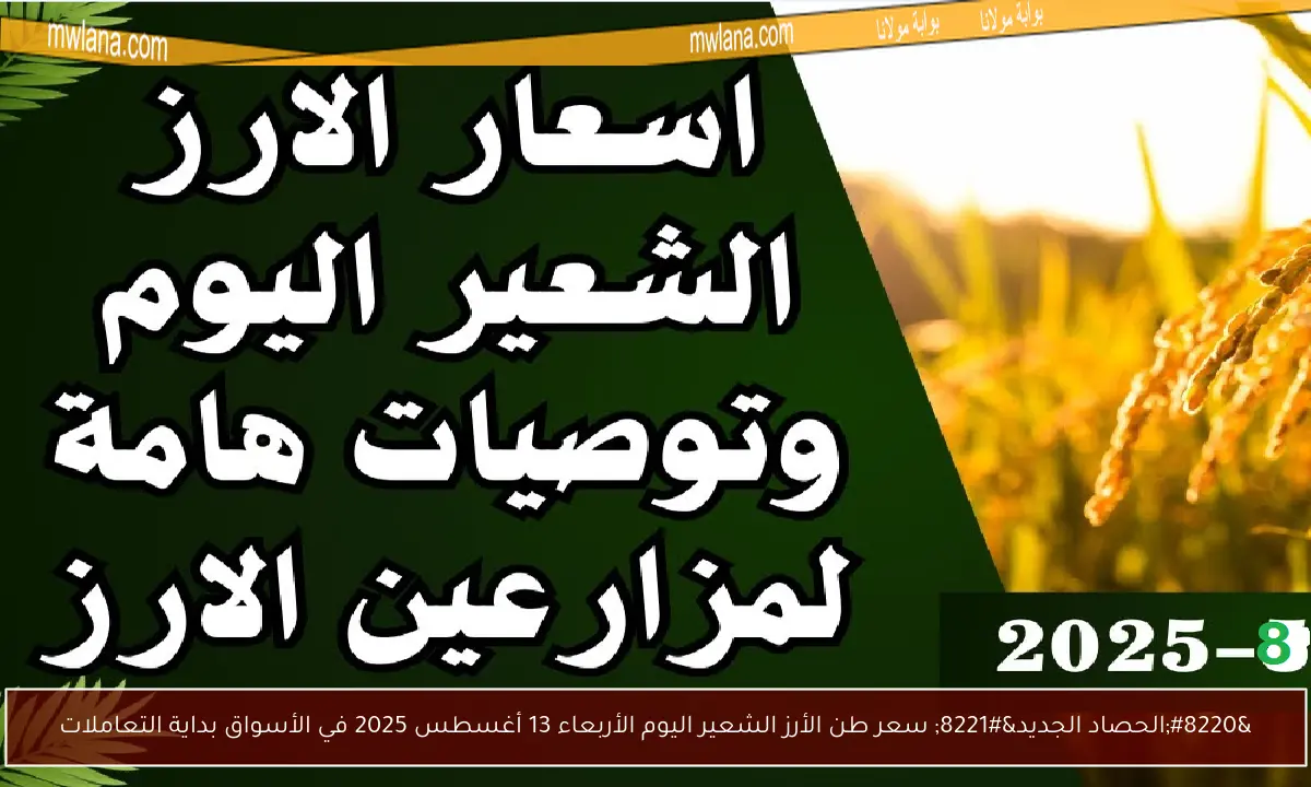 “الحصاد الجديد” سعر طن الأرز الشعير اليوم الأربعاء 13 أغسطس 2025 في الأسواق بداية التعاملات