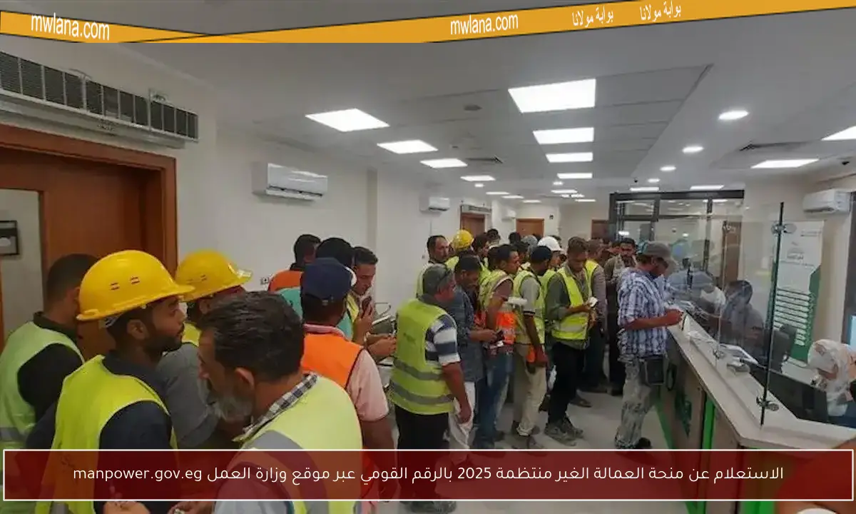 الاستعلام عن منحة العمالة الغير منتظمة 2025 بالرقم القومي عبر موقع وزارة العمل manpower.gov.eg