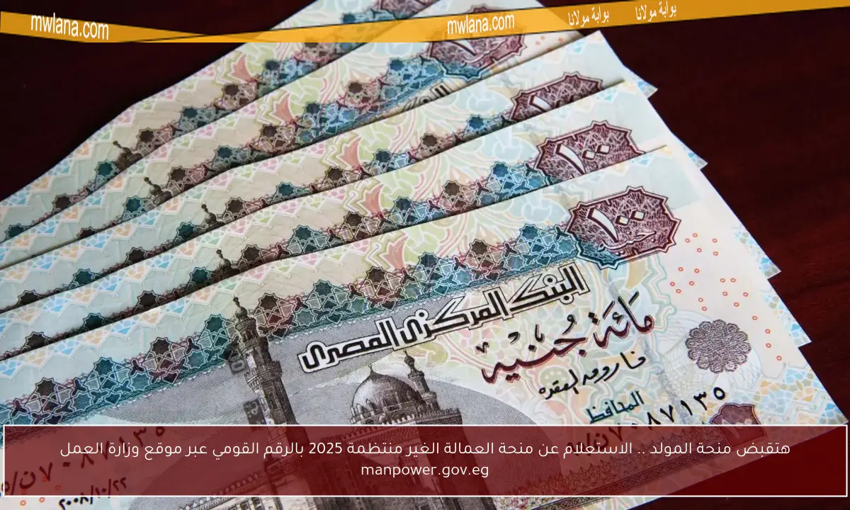 هتقبض منحة المولد .. الاستعلام عن منحة العمالة الغير منتظمة 2025 بالرقم القومي عبر موقع وزارة العمل manpower.gov.eg