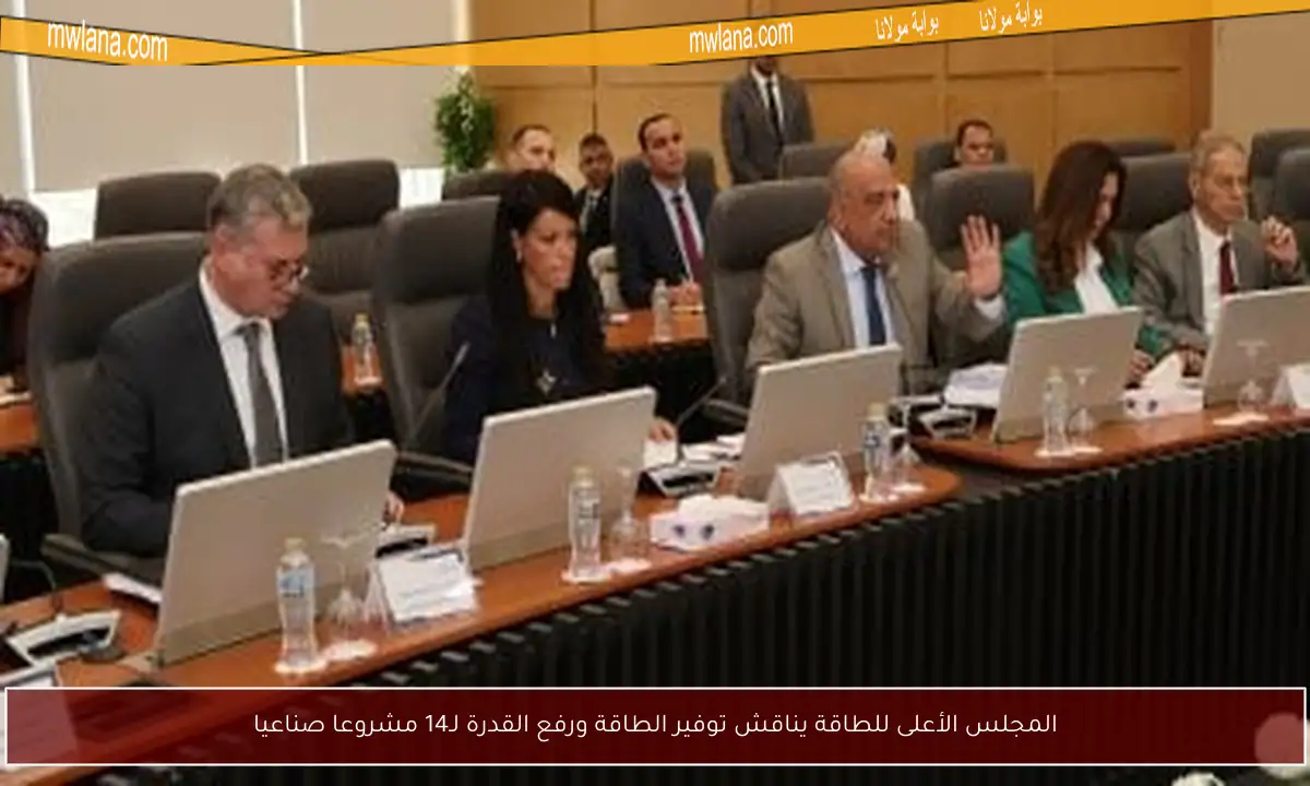 المجلس الأعلى للطاقة يناقش توفير الطاقة ورفع القدرة لـ14 مشروعا صناعيا