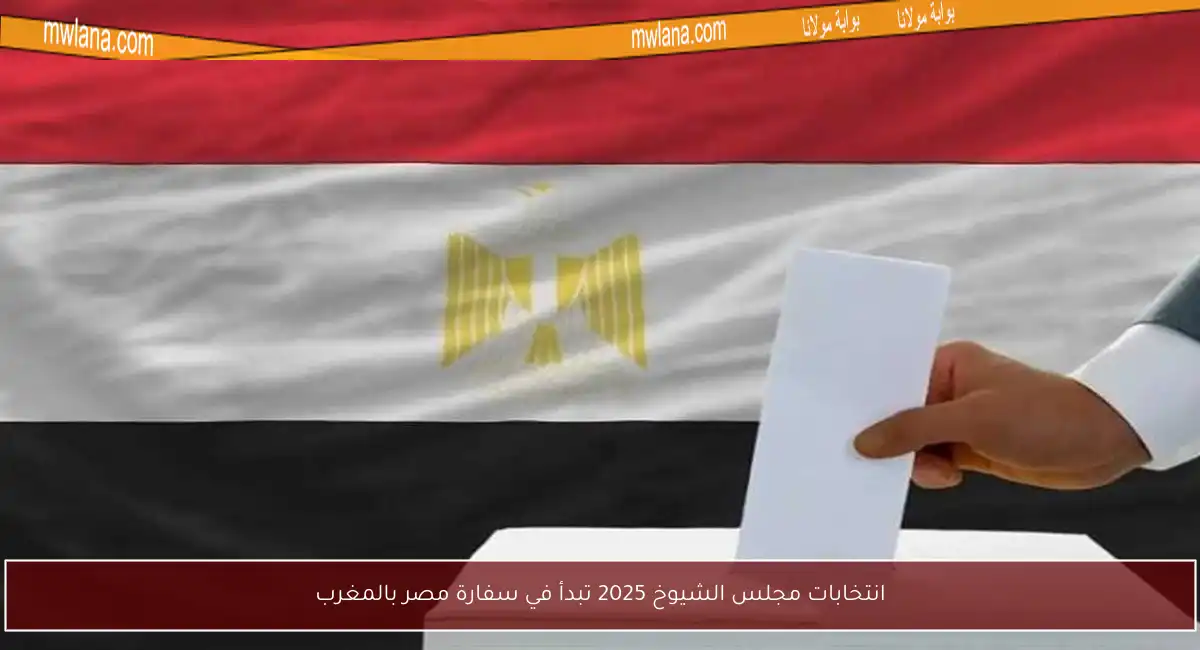 انتخابات مجلس الشيوخ 2025 تبدأ في سفارة مصر بالمغرب
