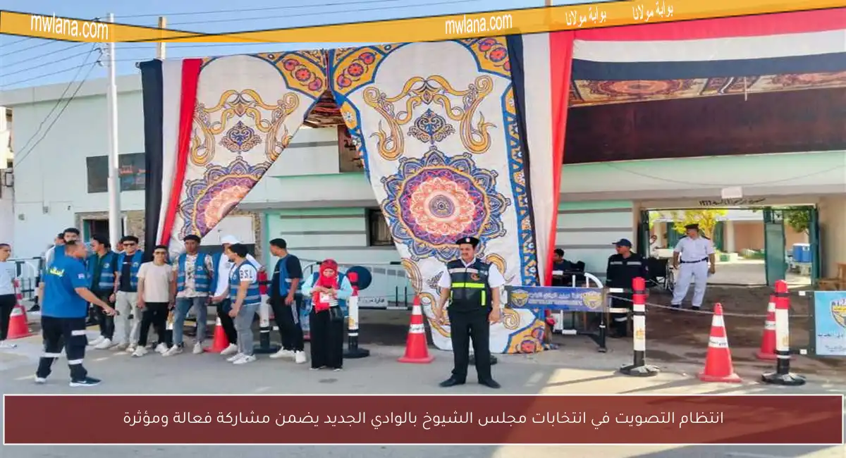 انتظام التصويت في انتخابات مجلس الشيوخ بالوادي الجديد يضمن مشاركة فعالة ومؤثرة