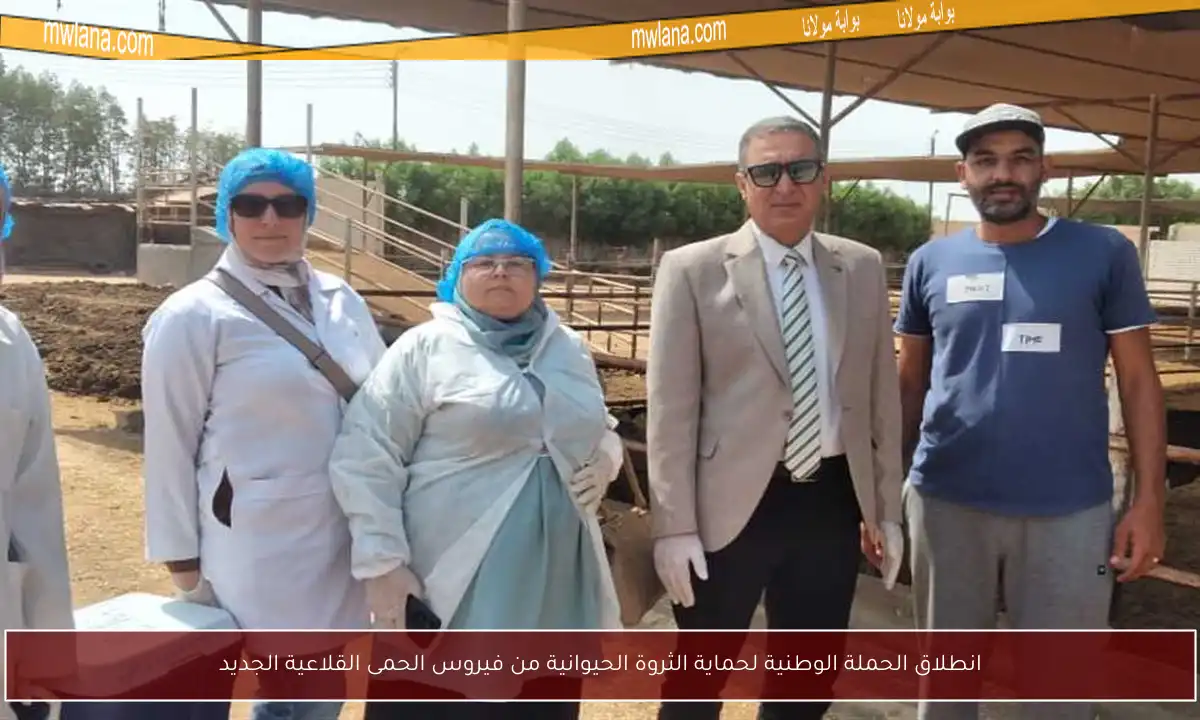 انطلاق الحملة الوطنية لحماية الثروة الحيوانية من فيروس الحمى القلاعية الجديد