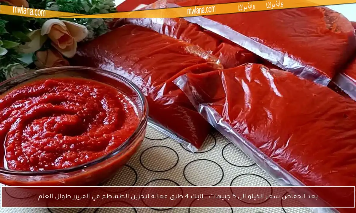 بعد انخفاض سعر الكيلو إلى 5 جنيهات.. إليك 4 طرق فعالة لتخزين الطماطم في الفريزر طوال العام