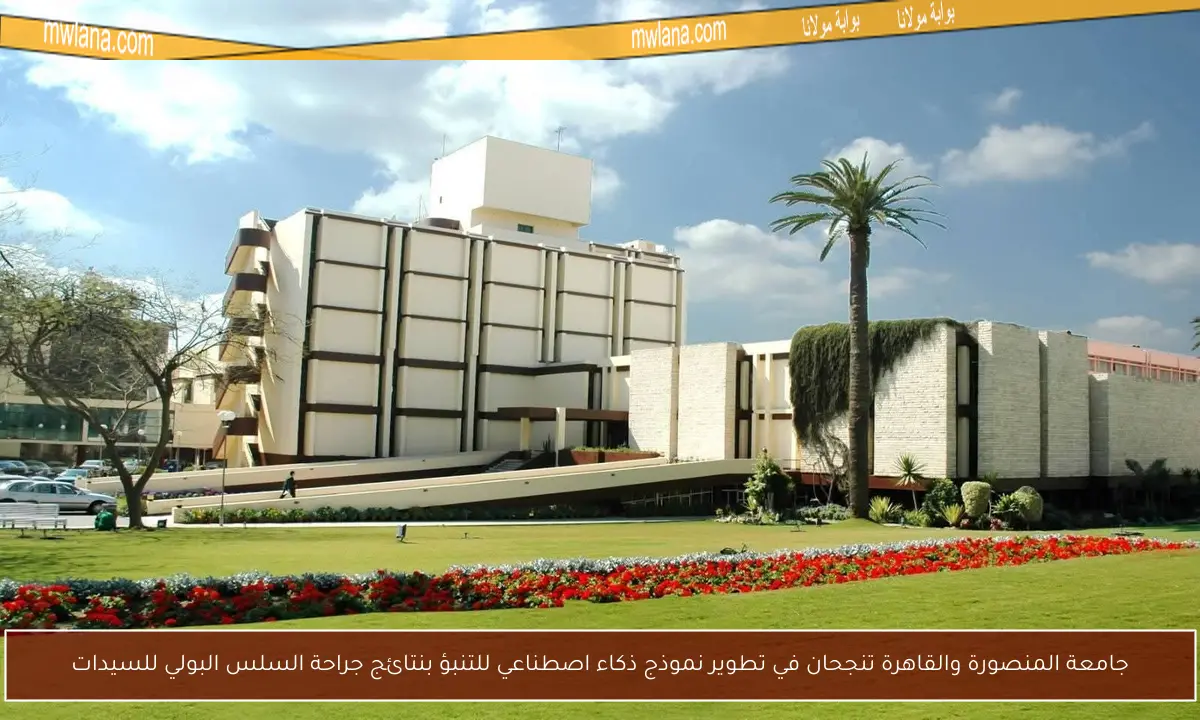 جامعة المنصورة والقاهرة تنجحان في تطوير نموذج ذكاء اصطناعي للتنبؤ بنتائج جراحة السلس البولي للسيدات