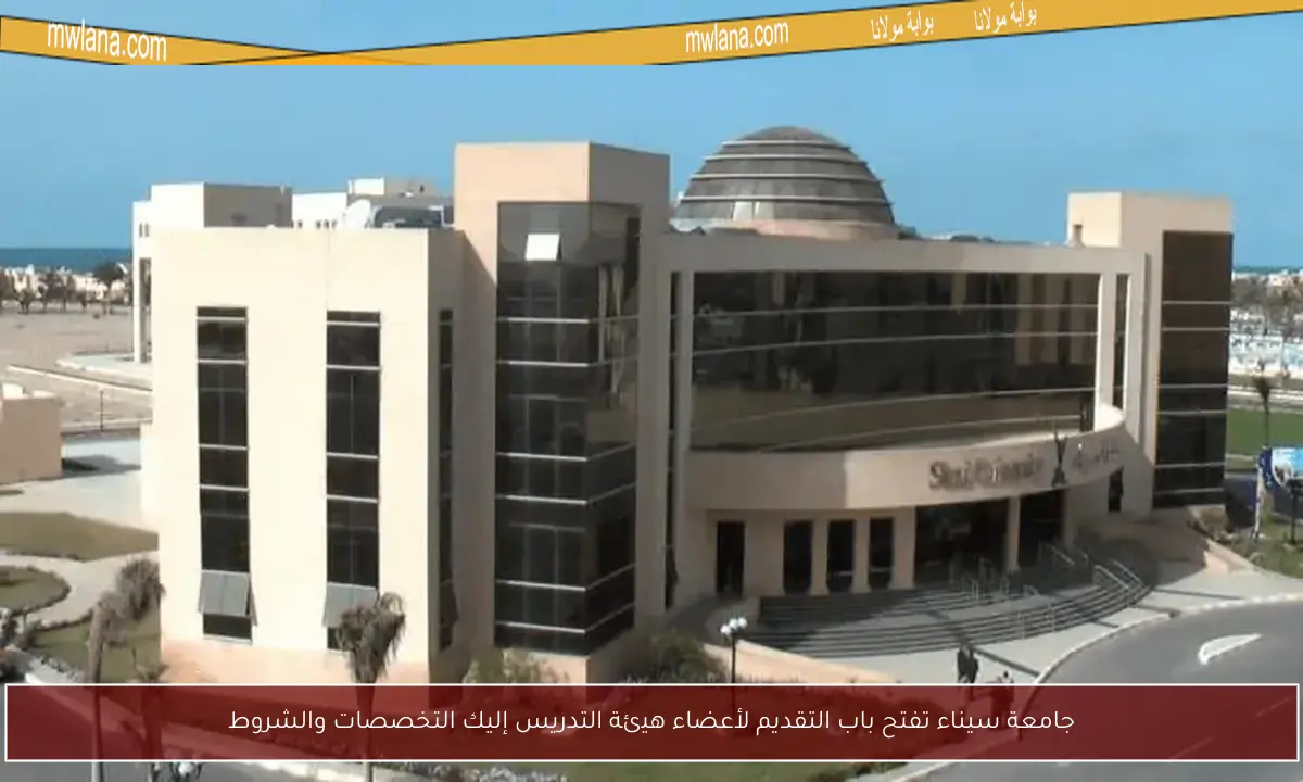 جامعة سيناء تفتح باب التقديم لأعضاء هيئة التدريس إليك التخصصات والشروط