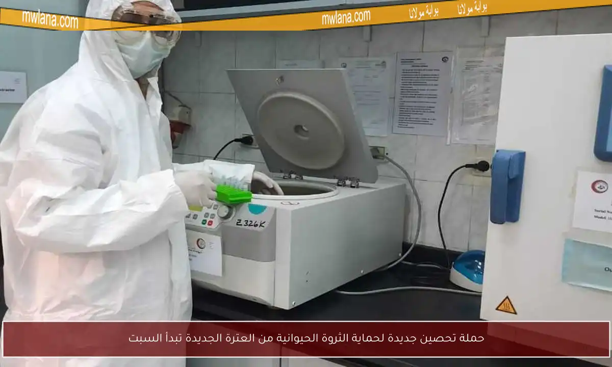حملة تحصين جديدة لحماية الثروة الحيوانية من العترة الجديدة تبدأ السبت