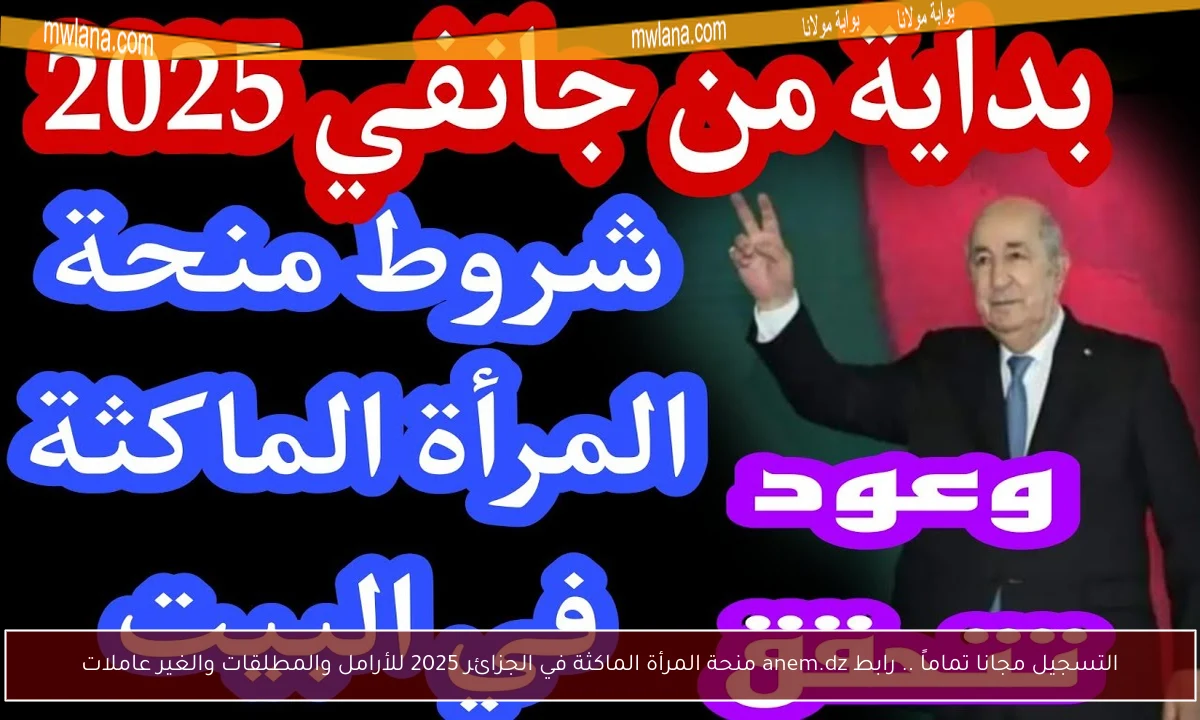 التسجيل مجانا تماماً .. رابط anem.dz منحة المرأة الماكثة في الجزائر 2025 للأرامل والمطلقات والغير عاملات