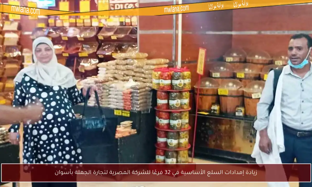 زيادة إمدادات السلع الأساسية في 32 فرعًا للشركة المصرية لتجارة الجملة بأسوان