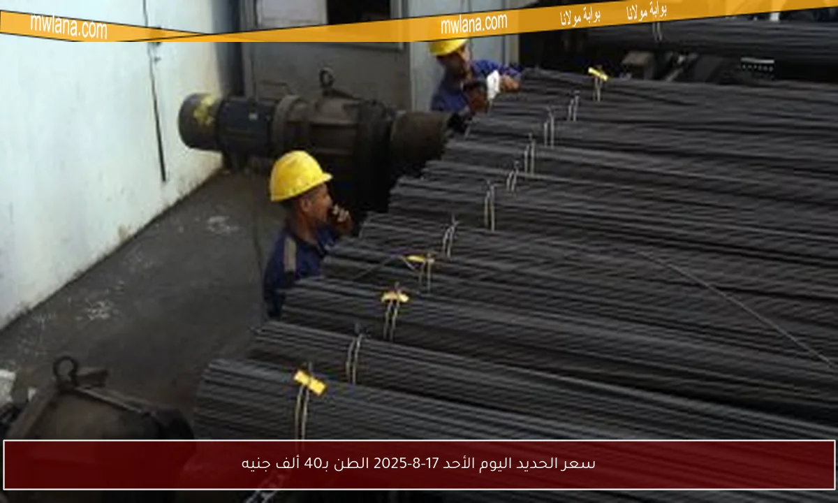 سعر الحديد اليوم الأحد 17-8-2025 الطن بـ40 ألف جنيه