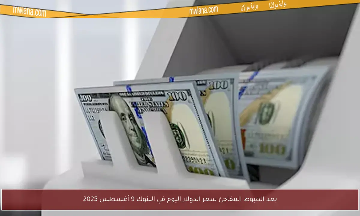بعد الهبوط المفاجئ سعر الدولار اليوم في البنوك 9 أغسطس 2025