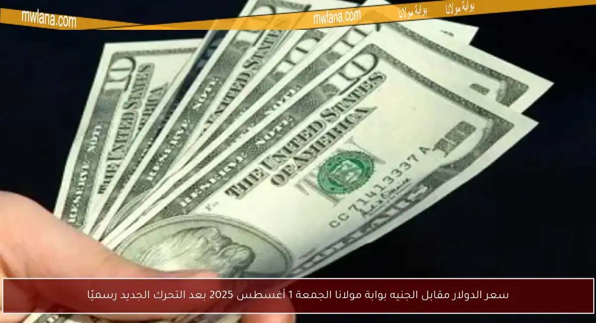 سعر الدولار مقابل الجنيه بوابة مولانا الجمعة 1 أغسطس 2025 بعد التحرك الجديد رسميًا
