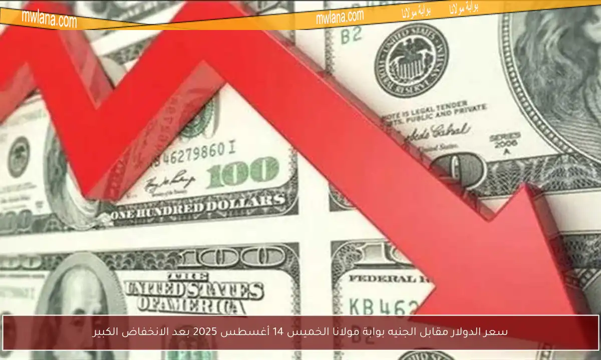 سعر الدولار مقابل الجنيه بوابة مولانا الخميس 14 أغسطس 2025 بعد الانخفاض الكبير