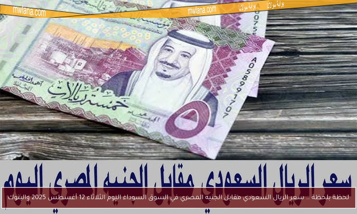 لحظة بلحظة .. سعر الريال السعودي مقابل الجنيه المصري في السوق السوداء اليوم الثلاثاء 12 أغسطس 2025 والبنوك