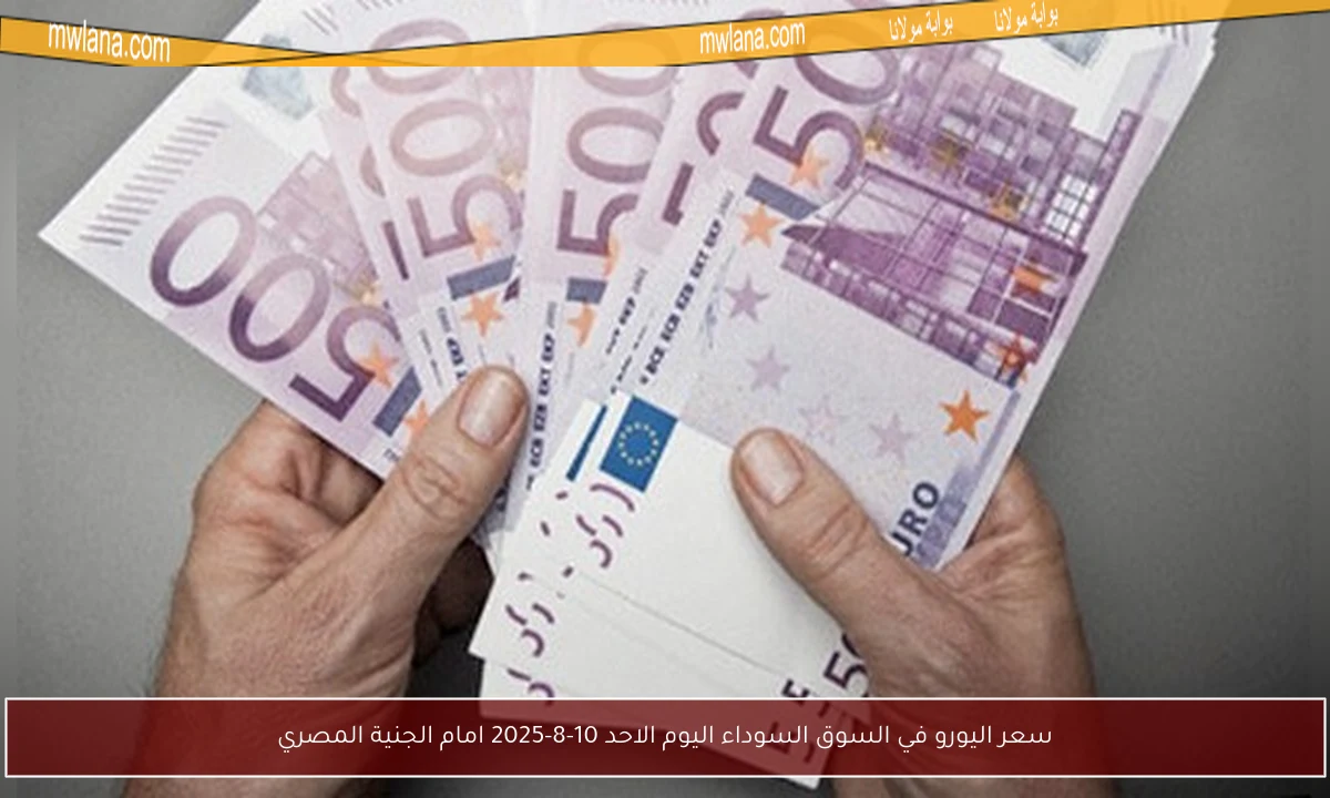 سعر اليورو في السوق السوداء اليوم الاحد 10-8-2025 امام الجنية المصري