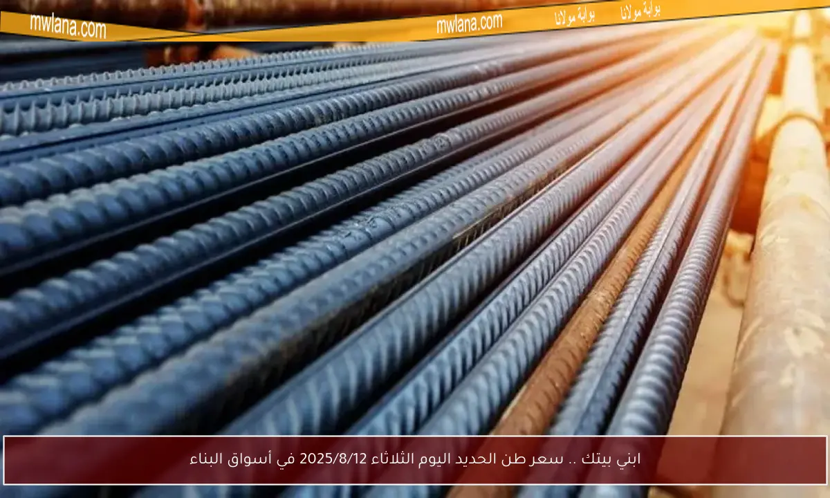 ابني بيتك .. سعر طن الحديد اليوم الثلاثاء 2025/8/12 في أسواق البناء