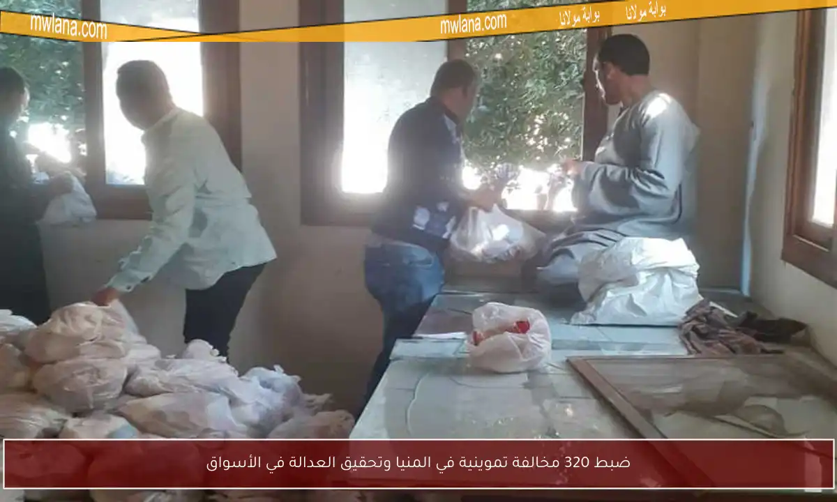 ضبط 320 مخالفة تموينية في المنيا وتحقيق العدالة في الأسواق