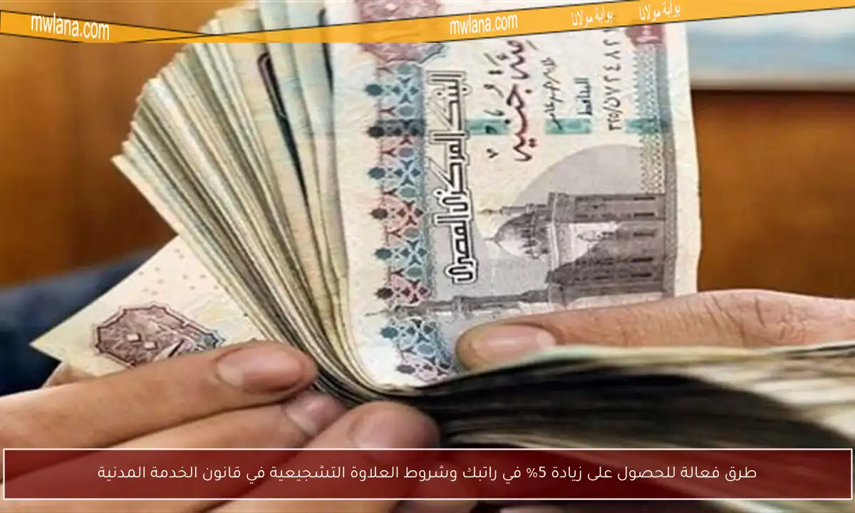 طرق فعالة للحصول على زيادة 5% في راتبك وشروط العلاوة التشجيعية في قانون الخدمة المدنية