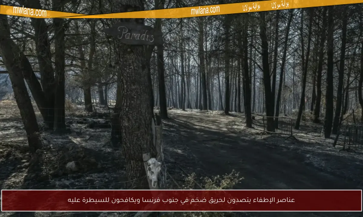 عناصر الإطفاء يتصدون لحريق ضخم في جنوب فرنسا ويكافحون للسيطرة عليه