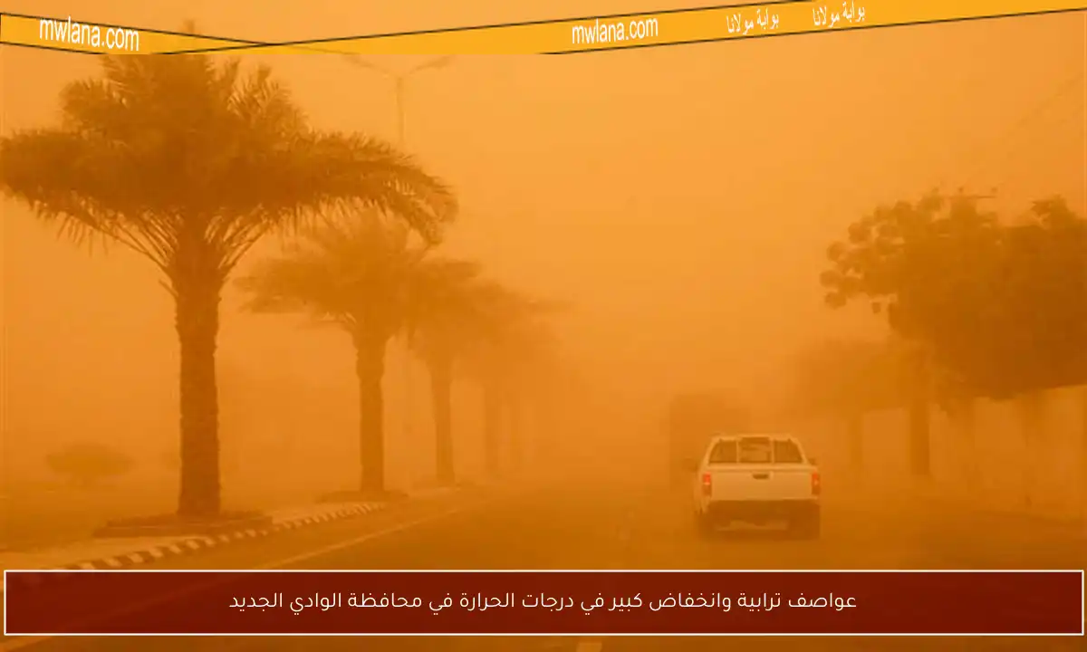 عواصف ترابية وانخفاض كبير في درجات الحرارة في محافظة الوادي الجديد
