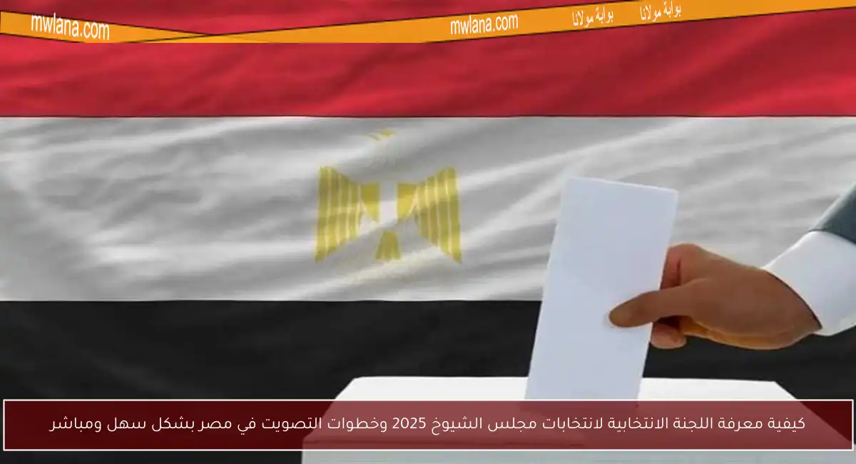 كيفية معرفة اللجنة الانتخابية لانتخابات مجلس الشيوخ 2025 وخطوات التصويت في مصر بشكل سهل ومباشر