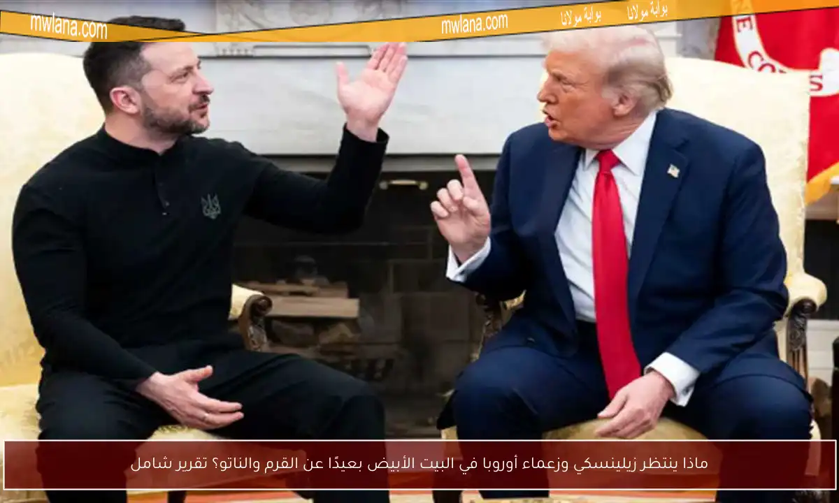 ماذا ينتظر زيلينسكي وزعماء أوروبا في البيت الأبيض بعيدًا عن القرم والناتو؟ تقرير شامل