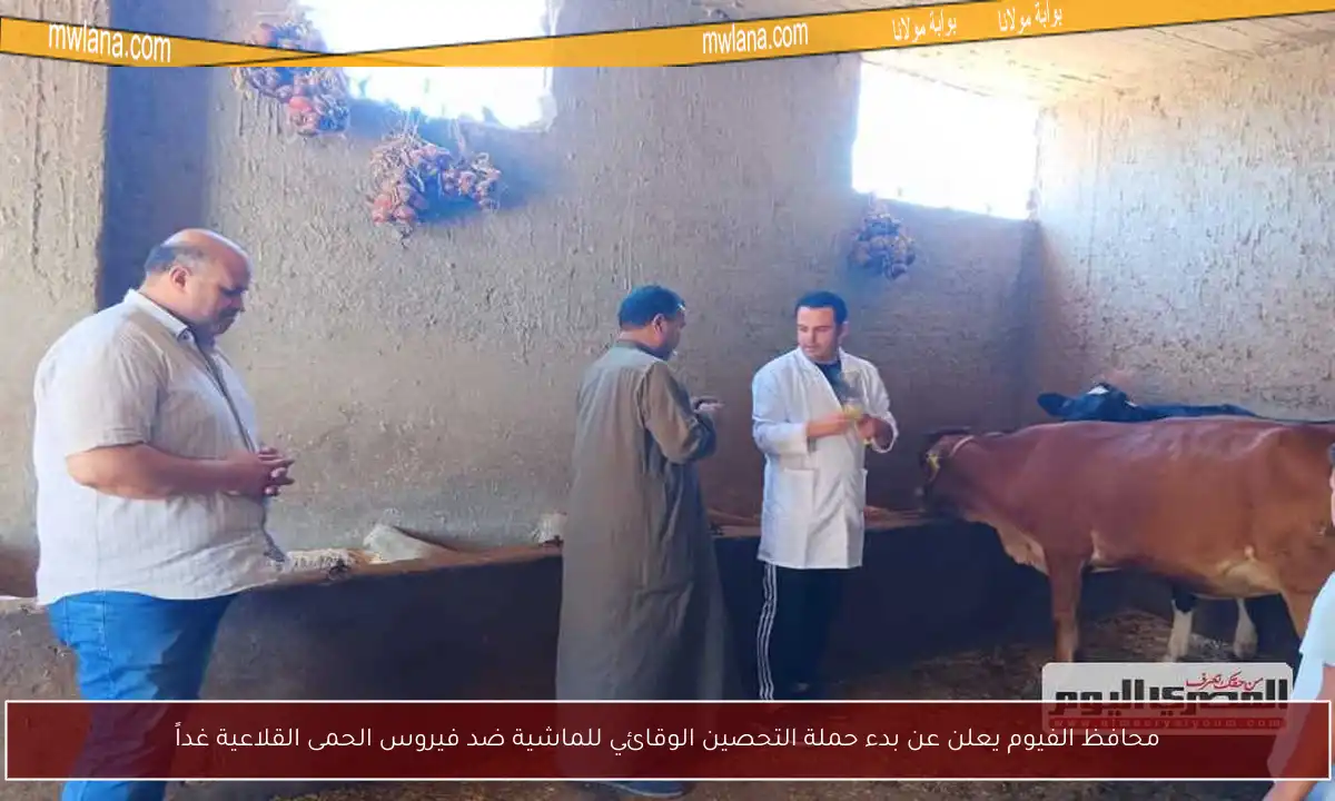 محافظ الفيوم يعلن عن بدء حملة التحصين الوقائي للماشية ضد فيروس الحمى القلاعية غداً