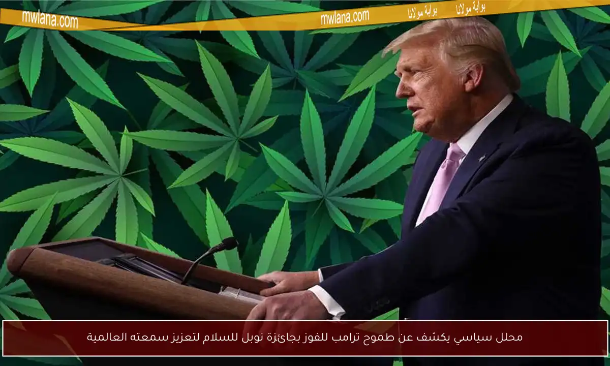 محلل سياسي يكشف عن طموح ترامب للفوز بجائزة نوبل للسلام لتعزيز سمعته العالمية