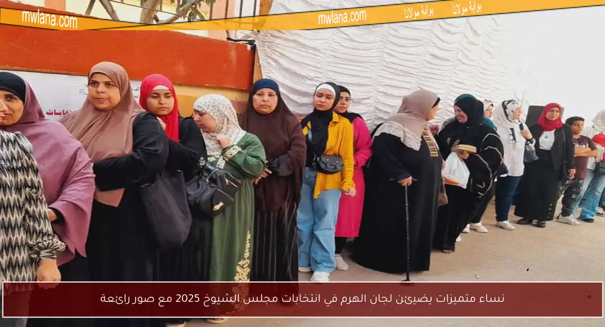 نساء متميزات يضيئن لجان الهرم في انتخابات مجلس الشيوخ 2025 مع صور رائعة