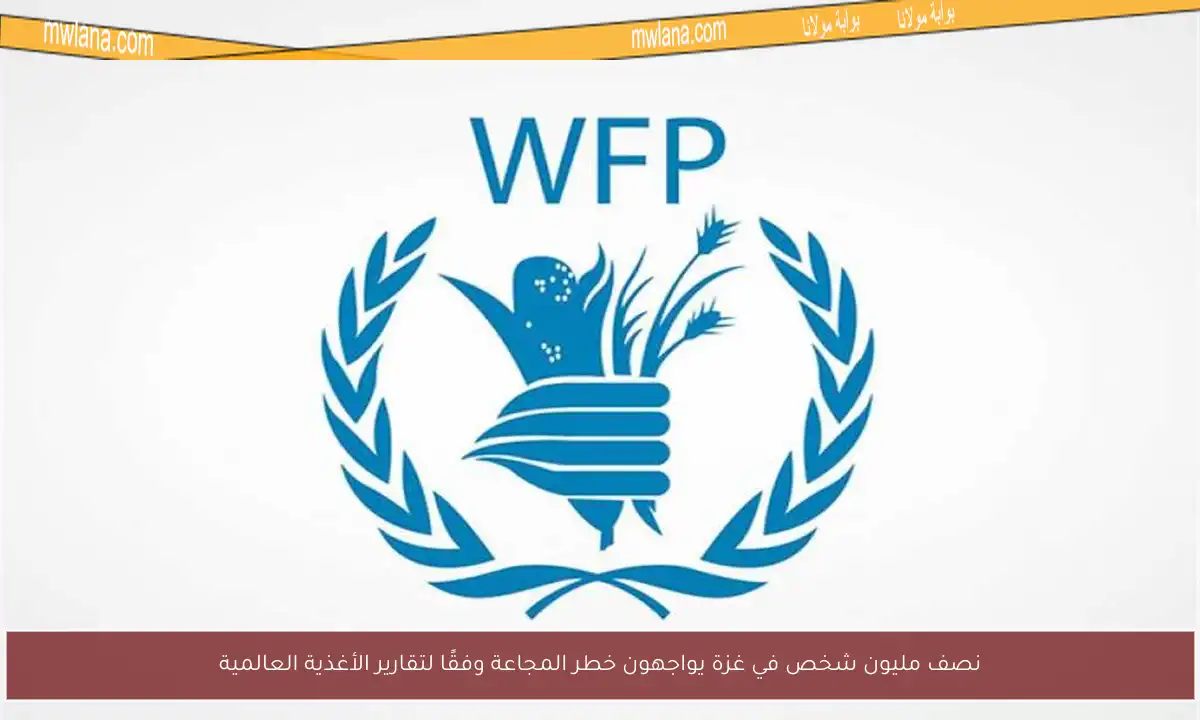 نصف مليون شخص في غزة يواجهون خطر المجاعة وفقًا لتقارير الأغذية العالمية